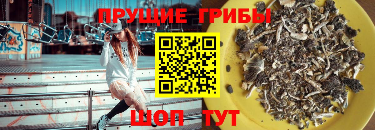 Галлюциногенные грибы прущие грибы  Вход с VPN  Новоалтайск 